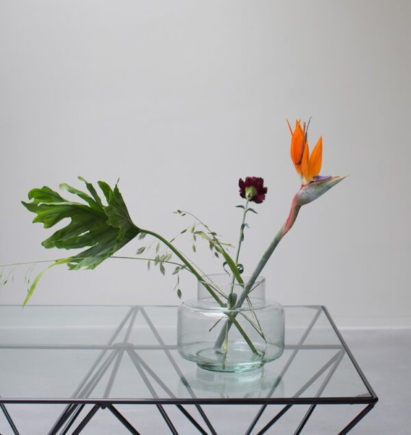 Vase Transparent URBAN NATURE