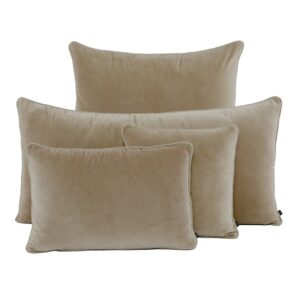 Coussin NEW DELHI 40X60 LIN