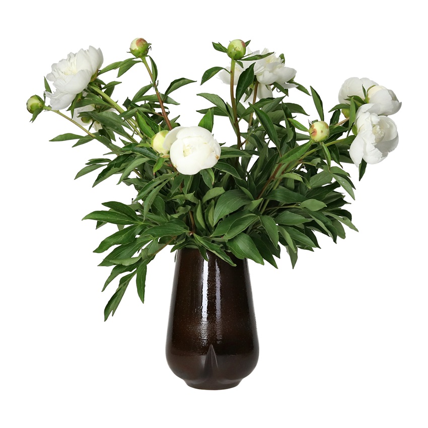 CYCLE vase