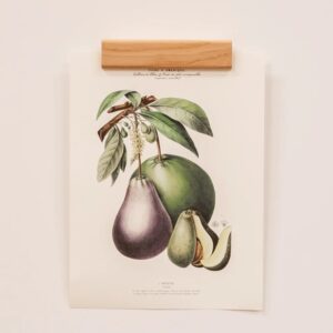 Porte-affiches RAISIN 20cm