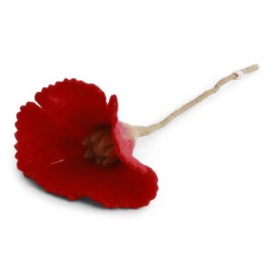 POPPY FLOWER  bright red