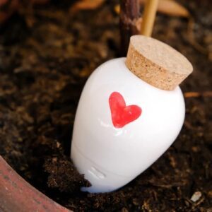 OLLA - COEUR