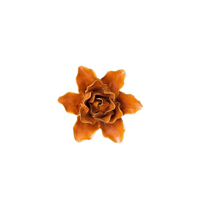 Burnt Orange Stargazer Lily