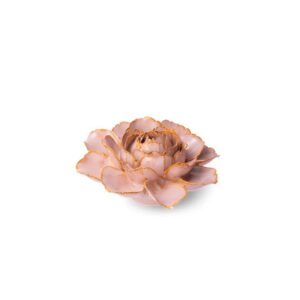 Rose Pink Camellia