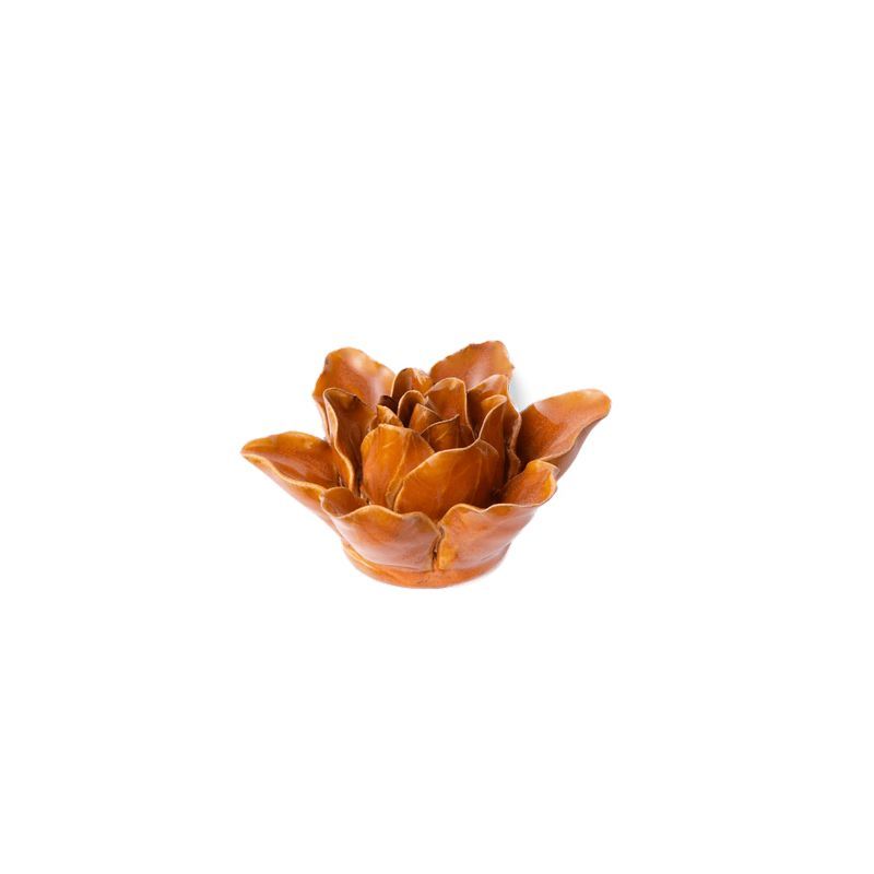 Burnt Orange Stargazer Lily – Image 3