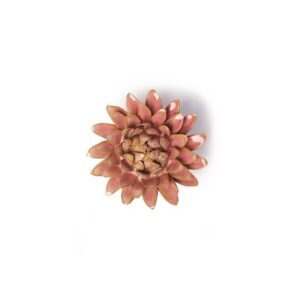 Rose Quartz Pink Strawflower