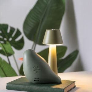 Boîte à son OISEAU JUNGLE